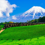 静岡千里眼で当たる先生6選!失敗しない占い師選び【口コミも多数掲載】