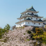 和歌山で当たる人気の占い店・占い師が→これ!口コミ評判も掲載【おすすめ占い13選】