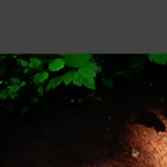 【鹿児島占い】法気会の詳細や口コミ評判は→コチラ