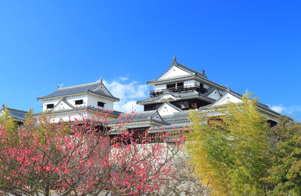 愛媛松山の占い17選!よく当たる人気の占い師や口コミ評判もご紹介!