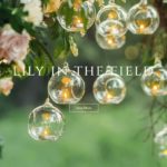 Lily in the Field (リリー・イン・ザ・フィールド)の詳細や口コミ評判は→コチラ【宮崎の当たる占い】