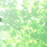 一進の四柱推命占い