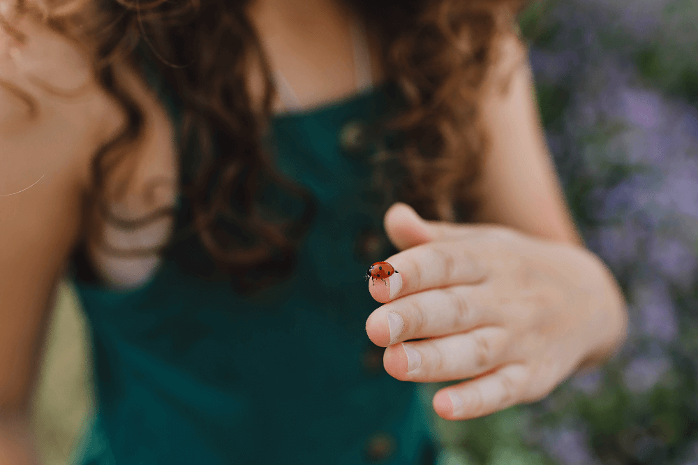 虫が寄ってくるスピリチュアルな意味とは?小さい虫は?よく虫が寄ってくる人は?